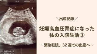 妊娠高血圧腎症になった私の入院生活③ 〜緊急転院、32週での出産へ〜